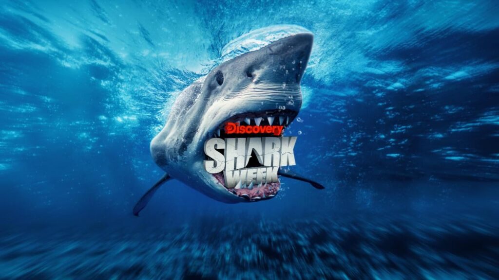 Shark Week 2025 Starts Tonight With 20 Hours of Jaw-Dropping Action