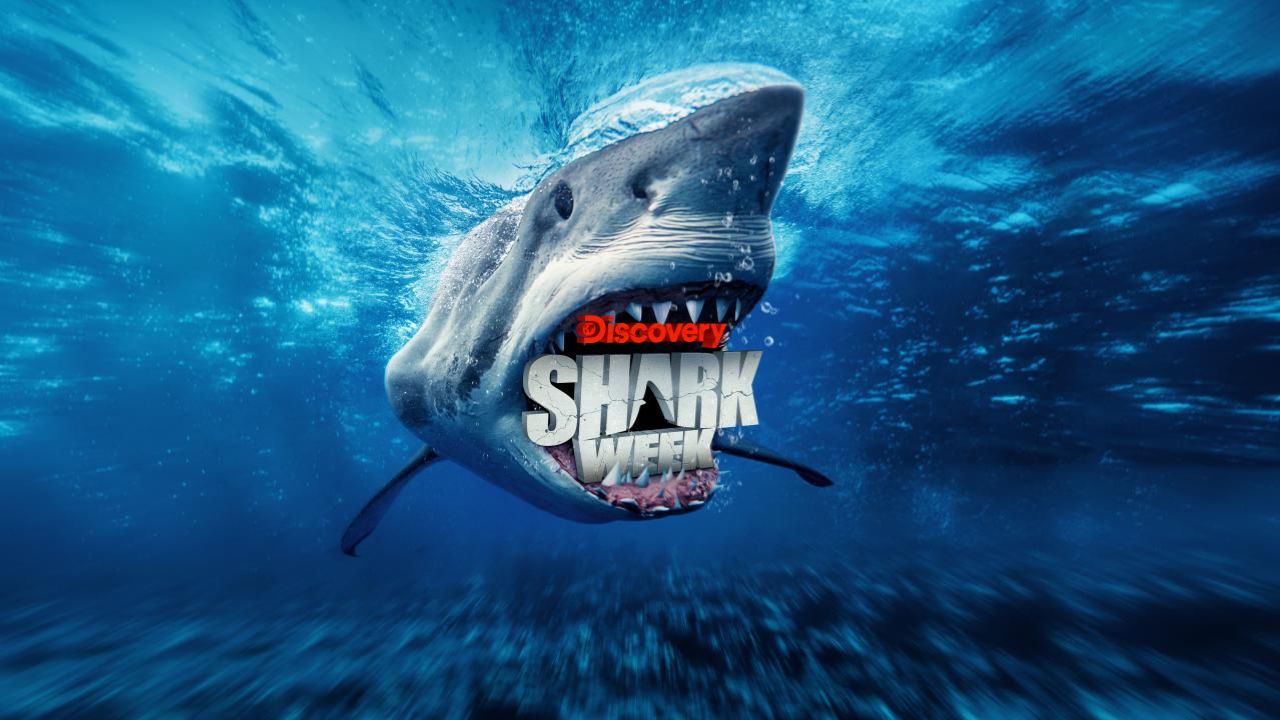 Shark Week 2025 Starts Tonight With 20 Hours of Jaw-Dropping Action