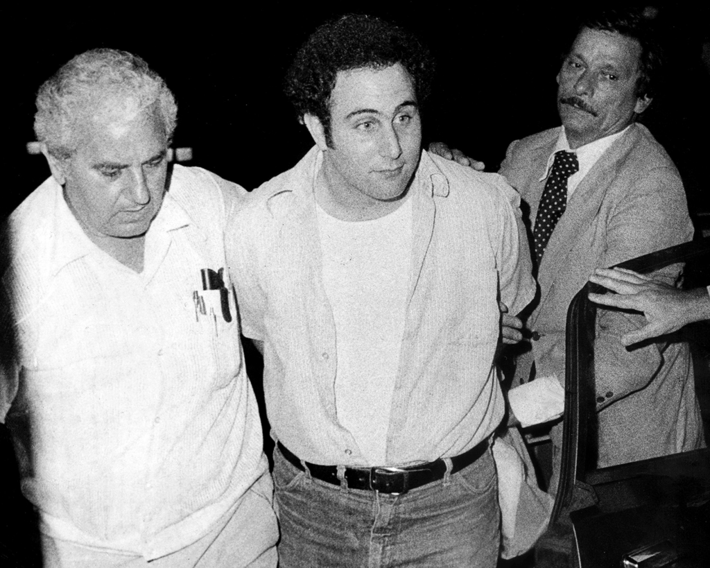 Son of Sam netflix documentary confession of the killers