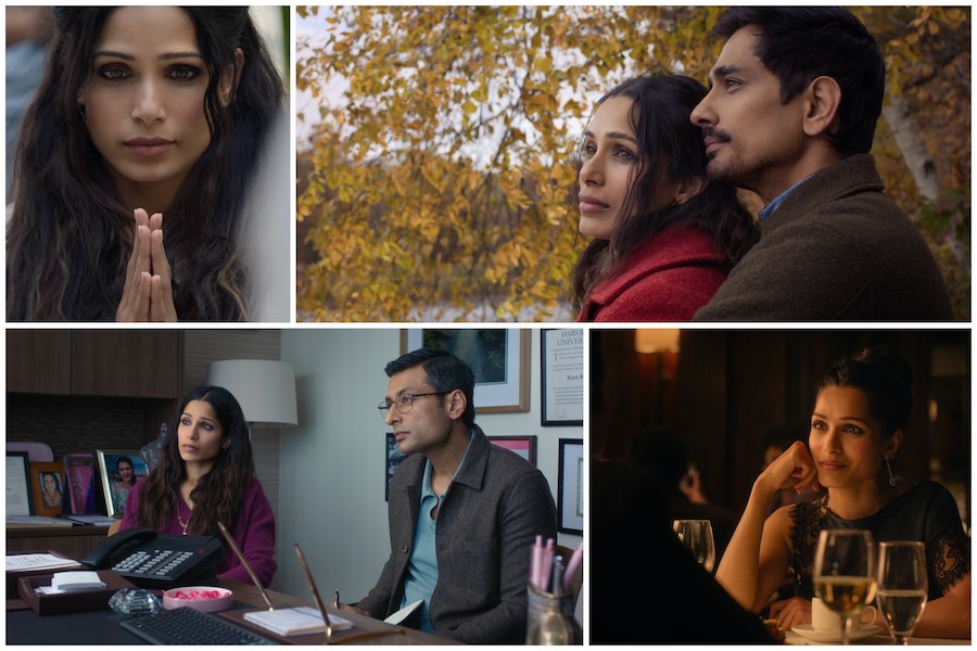 Unaccustomed Earth Web Series Cast: Full Actor List